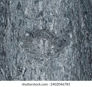 Vector illustration of Background and texture of black pine bark or in Latin Pinus nigra
