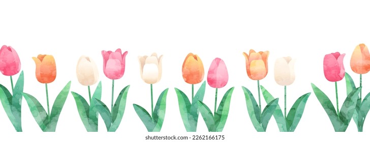 Vector illustration background of tulips.