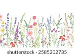 vector illustration of background with various wildflowers and delicate plants, seamless from right to left