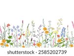 vector illustration of background with various wildflowers and delicate plants, seamless from right to left