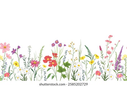 vector illustration of background with various wildflowers and delicate plants, seamless from right to left