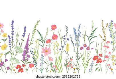 vector illustration of background with various wildflowers and delicate plants, seamless from right to left