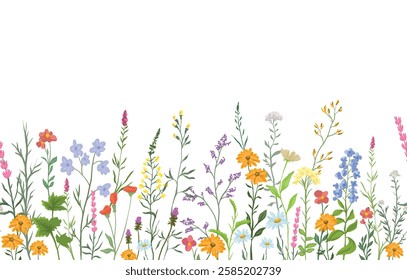 vector illustration of background with various wildflowers and delicate plants, seamless from right to left