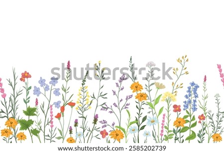 vector illustration of background with various wildflowers and delicate plants, seamless from right to left