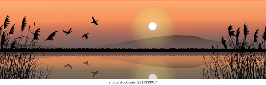 Vector illustration background, view of the lake against the backdrop of the sun, flying birds, and silhouettes of reeds, nature, ecology, flora and fauna, national parks.