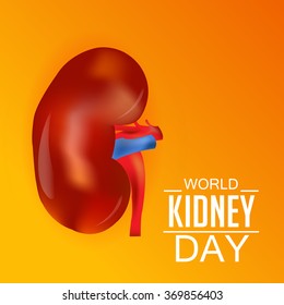 Vector illustration of a background for World Kidney Day.