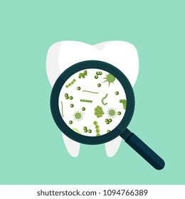 Vector illustration. Bacteria on a human white tooth being viewed on a magnifying glass. 