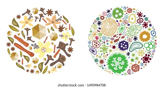 vector illustration of bacteria and spices circles for antibacterial natural treatments and remedies