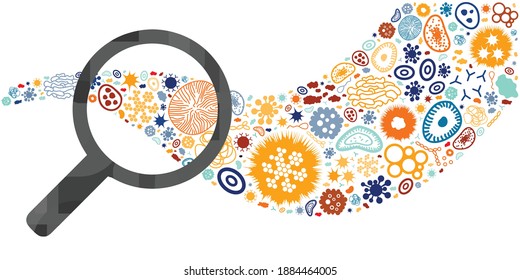 vector illustration of bacteria and virus samples and magnifier for laboratory research
