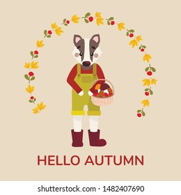 Vector illustration of a badger standing in red rubber boots in a green overalls. The badger has a basket from the forest with berries, cones, mushrooms. Autumn composition with yellow autumn leaves.