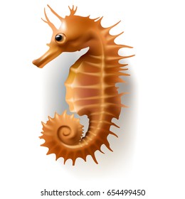 Vector illustration, badges, stickers, sea horse in realistic style isolated on white. Print, template, design element