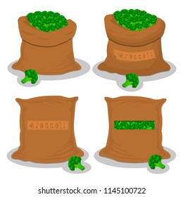 Vector illustration for bags filled with vegetable green broccoli, storage in sacks. Broccoli pattern consisting of ripe food, raw product on open Sack. Tasty broccoli from eco sack, full baggy bag.