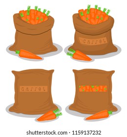 Vector illustration for bags filled with vegetable root carrot, storage in sacks. Carrot pattern consisting of ripe food, raw product on open Sack. Tasty fruit carrot from eco sack, full baggy bag.