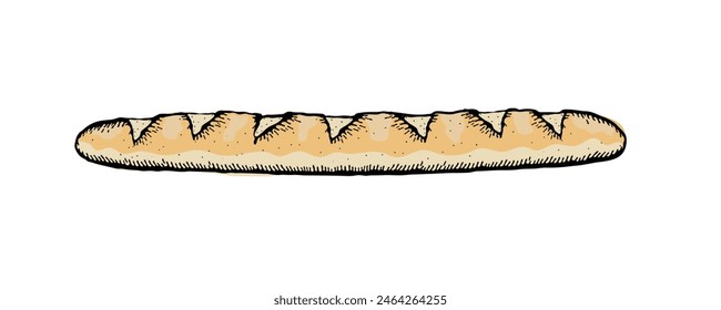 Vector illustration of a baguette