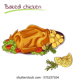 Vector illustration of baked chicken with potatoes isolated on white background. Food Icon. Design for cookbook, restaurant business. Series of food, drinks and ingredients for cooking.