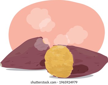 Vector illustration of baked sweet potato #02