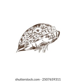 Vector illustration of baked sweet potatoes with butter and a sprig of rosemary on a white background. The black and white image is ideal for menu design