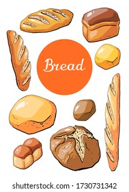 Vector illustration bakery bread and pastry elements