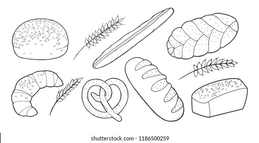 Vector illustration of a bakery bread set. Bun with sesame seeds, croissant, pretzel, French long loaf, braid, woven, spikelet of wheat. Vintage hand drawn engraving style