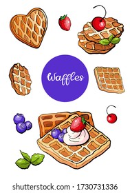 Vector illustration bakery waffles wafer elements set