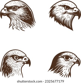 Vector illustration of Bald eagle 02