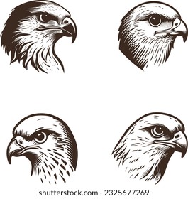Vector illustration of Bald eagle 04