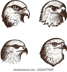 Vector illustration of Bald eagle 05