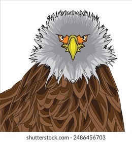 Vector illustration of a bald eagle