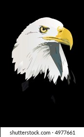 A vector illustration of a bald eagle head on a black background