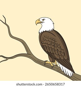 Vector illustration of a bald eagle perched on a bare tree branch. Includes full-color and outline versions, ideal for wildlife art, education, or coloring pages.