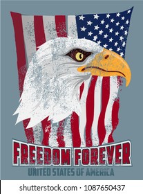 Vector illustration Bald Eagle and a US flag with removable grunge effect.