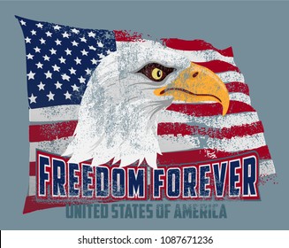 Vector illustration Bald Eagle and a US flag with removable grunge effect.