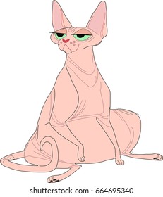 Vector illustration of a bald, pink cartoon cat with green eyes. Isolated bald cat. Sitting kitty