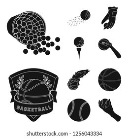 Vector illustration of ball and soccer icon. Set of ball and basketball stock symbol for web.
