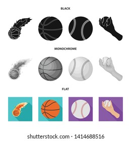 Vector illustration of ball and soccer logo. Set of ball and basketball stock symbol for web.