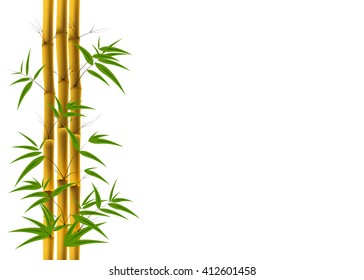 Vector illustration of Bamboo background with copyspace