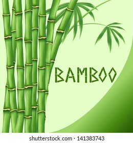 Vector illustration of bamboo background. EPS10.