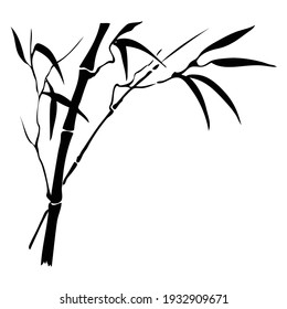 Vector illustration of bamboo. Black leaves and branches of bamboo on a white background.