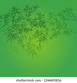 Vector illustration of bamboo, design of Chinese and Japanese bamboo trees, stems and leaves.