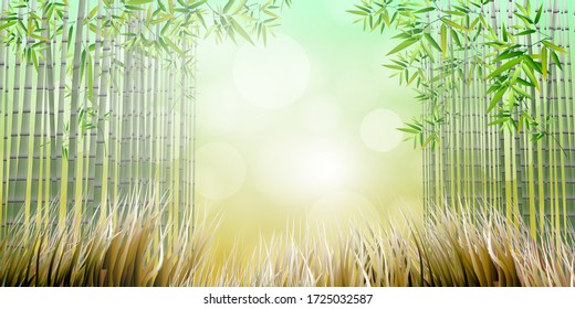 Vector - Illustration of Bamboo garden with Dry meadow on sunny day