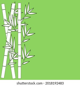 vector illustration of bamboo with green background