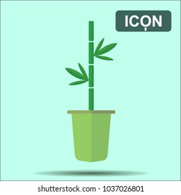 Vector illustration. Bamboo icon on a green background. Plants.
