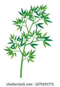 Vector illustration  bamboo of  Japanese TANABATA festival. 