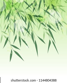 Vector illustration of Bamboo leaf. Natural background with green leaves