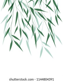 Vector illustration of Bamboo leaf. Natural background with green leaves