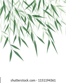 Vector illustration of Bamboo leaf. Natural background with green leaves