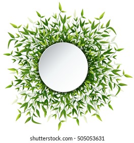 Vector illustration of Bamboo leaves frame