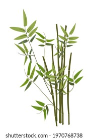 Vector illustration of bamboo leaves and shoots in middle of image in shades of green isolated on white background for photo haiku