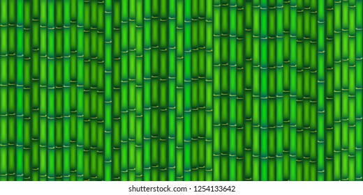 Vector illustration of bamboo on background, design of Chinese and Japanese bamboo trees,  colorful trees wallpaper for cards and web.

