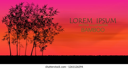 Vector illustration of bamboo on background, design of Chinese and Japanese bamboo trees, stems and leaves. colorful trees background